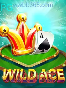 Descubra WildAce: O Novo Fenômeno de Entretenimento WWBB
